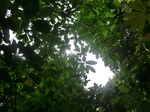 45660CIMG2745.JPG