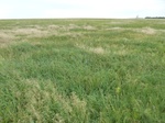 54026ELRE20120601GPS.JPG