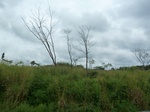 20053P1010904.JPG