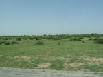19175P1010021.JPG