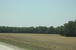 2024-06-17_22-04-45_14A99EC8-903C-43CE-9783-A2CAC3B920CC.jpeg