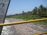 15437IMG_4313.JPG
