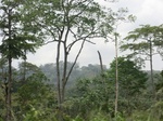 49466CIMG5803.JPG