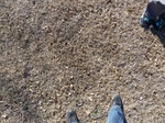 27630P1030507.JPG