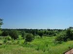 21647P1010473.JPG