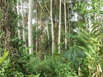 48081CIMG4418.JPG