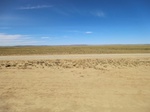 37839CIMG1646.JPG