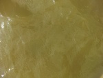 58093CIMG2387.JPG
