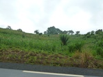 20532P1020389.JPG