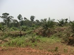 47101CIMG3438.JPG