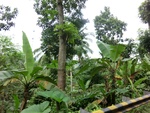 31122CIMG0984.JPG