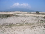 26485RIMG0338.JPG