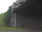 14364IMG_4706.JPG