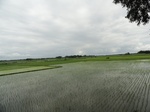 22107DSC00348.JPG