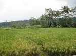 15271IMG_4095.JPG