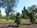 31071CIMG0933.JPG