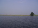 1479R0015189_small.jpg