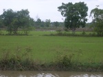 34577RIMG0043.JPG