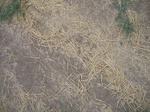 10390vp035-fallow-farm-a.jpg