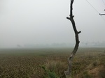 40083CIMG9147.JPG