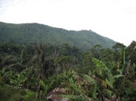 15170IMG_3990.JPG