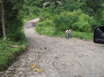 15176IMG_3996.JPG