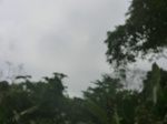 48624CIMG4961.JPG