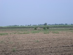 28172RIMG0161.JPG