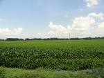 24561DSC00764.JPG