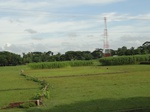 22163DSC00408.JPG