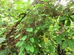 45315CIMG2400.JPG