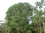 49698CIMG6035.JPG