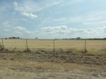 35547DSC02044.JPG