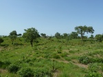 19484P1010331.JPG