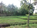 30433CIMG2002.JPG