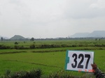 131830327c-irrigated-canal-rice-singlecrop.gif