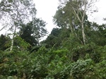 48141CIMG4478.JPG