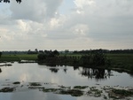 24648DSC00870.JPG
