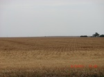 29798CIMG1171.JPG