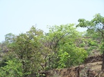 1727420042008(58).JPG