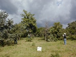12219GT043_Savannah.JPG