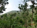 53438CIMG6770.JPG