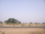 9105RIMG0185.JPG