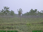 1282R0015090_tag.jpg