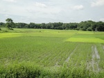 21370DSC00647.JPG