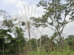 49558CIMG5895.JPG
