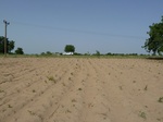 19124P1000969.JPG