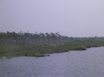 542R0015088.jpg