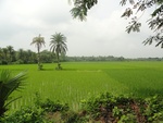 26026DSC00937.JPG