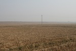 8394IMG_0520.JPG